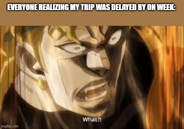 yeah i still have one week | EVERYONE REALIZING MY TRIP WAS DELAYED BY ON WEEK: | image tagged in dio what | made w/ Imgflip meme maker