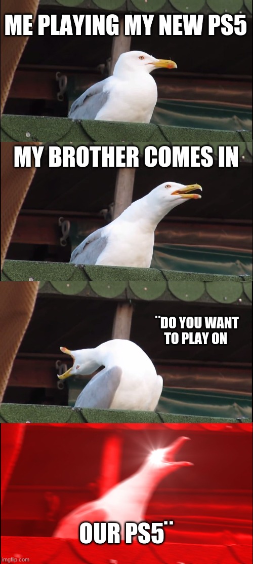 ugh | ME PLAYING MY NEW PS5; MY BROTHER COMES IN; ¨DO YOU WANT TO PLAY ON; OUR PS5¨ | image tagged in memes,inhaling seagull | made w/ Imgflip meme maker
