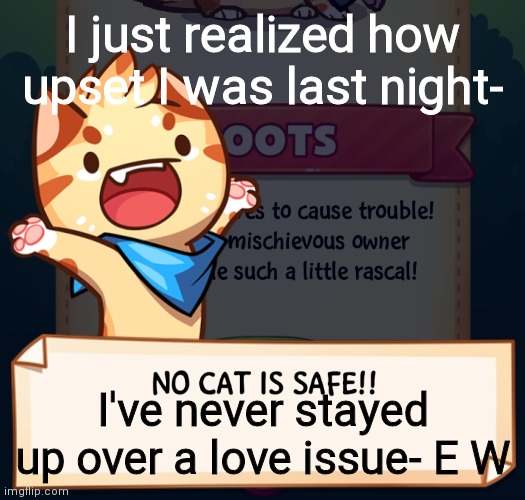 I pity myself | I just realized how upset I was last night-; I've never stayed up over a love issue- E W | image tagged in no cat is safe | made w/ Imgflip meme maker