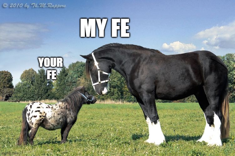 ENFJ | MY FE; YOUR 
FE | image tagged in mbti,horse | made w/ Imgflip meme maker