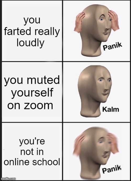 Panik Kalm Panik Meme | you farted really loudly; you muted yourself on zoom; you're not in online school | image tagged in memes,panik kalm panik | made w/ Imgflip meme maker