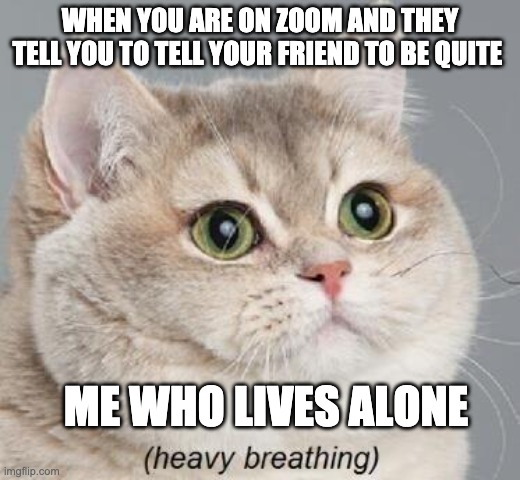Heavy Breathing Cat | WHEN YOU ARE ON ZOOM AND THEY TELL YOU TO TELL YOUR FRIEND TO BE QUITE; ME WHO LIVES ALONE | image tagged in memes,heavy breathing cat | made w/ Imgflip meme maker