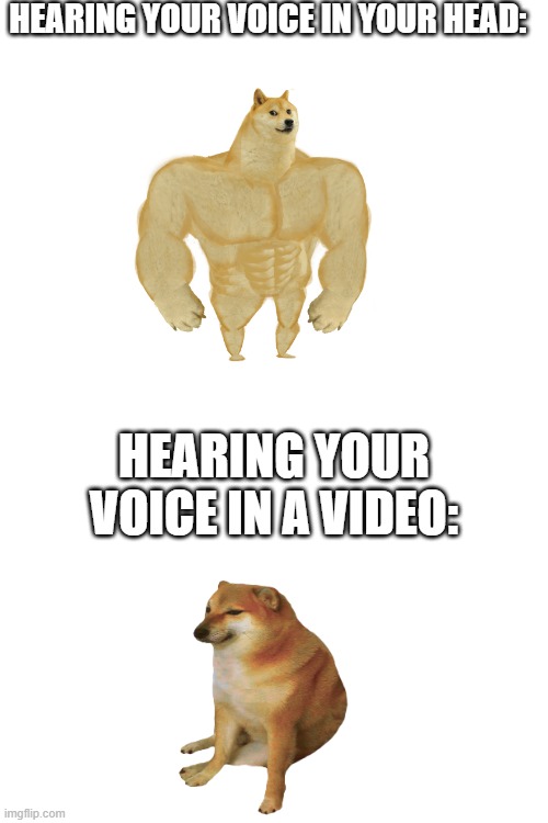 Voice | HEARING YOUR VOICE IN YOUR HEAD:; HEARING YOUR VOICE IN A VIDEO: | image tagged in blank white template,buff doge vs cheems,doge | made w/ Imgflip meme maker