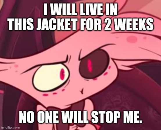Its a blue cloth one | I WILL LIVE IN THIS JACKET FOR 2 WEEKS; NO ONE WILL STOP ME. | image tagged in what | made w/ Imgflip meme maker