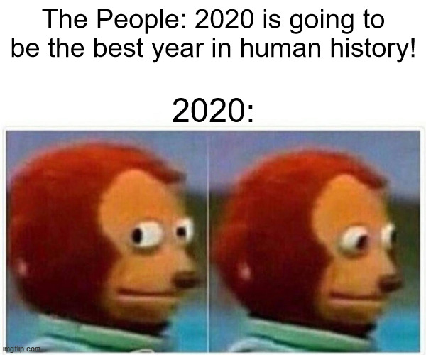 Another 2020 meme? | The People: 2020 is going to be the best year in human history! 2020: | image tagged in memes,monkey puppet | made w/ Imgflip meme maker