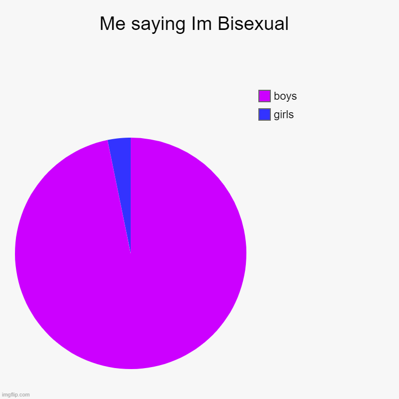 IM BISEXUAL | Me saying Im Bisexual  | girls, boys | image tagged in charts,pie charts,bisexual,lgbtq,memes | made w/ Imgflip chart maker