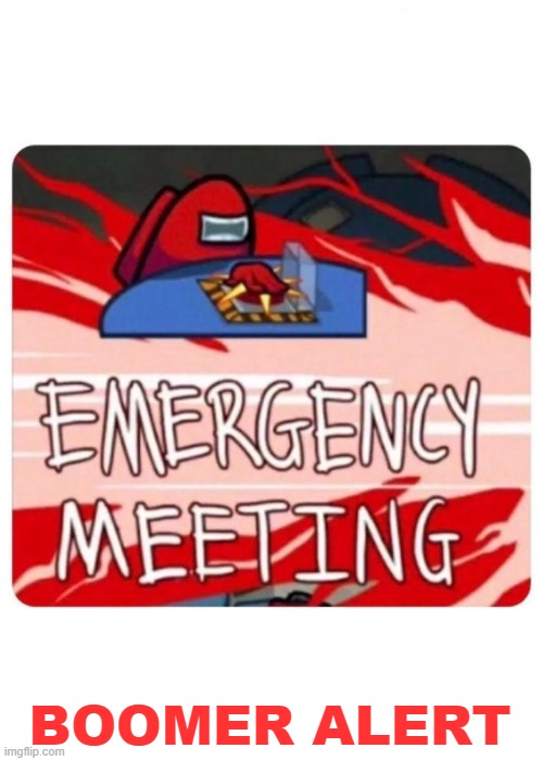 Emergency Meeting Among Us | BOOMER ALERT | image tagged in emergency meeting among us | made w/ Imgflip meme maker
