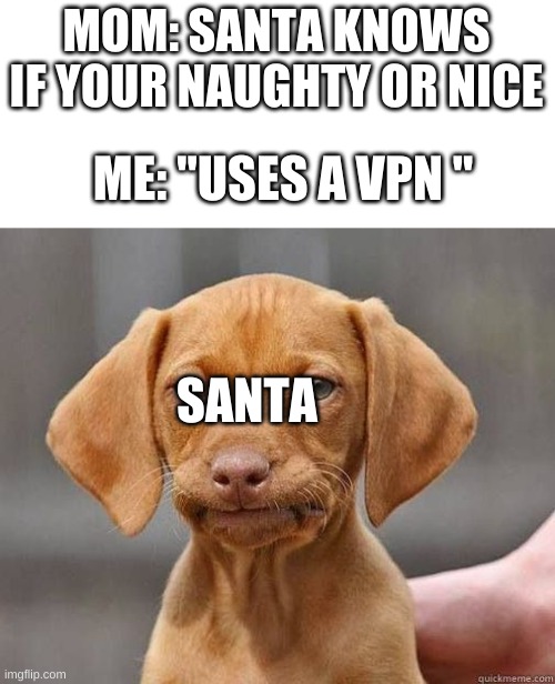 welp | MOM: SANTA KNOWS IF YOUR NAUGHTY OR NICE; ME: "USES A VPN "; SANTA | image tagged in mfw welp | made w/ Imgflip meme maker