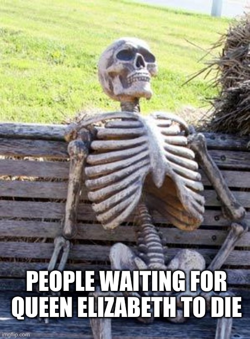 get spooked | PEOPLE WAITING FOR QUEEN ELIZABETH TO DIE | image tagged in memes,waiting skeleton | made w/ Imgflip meme maker