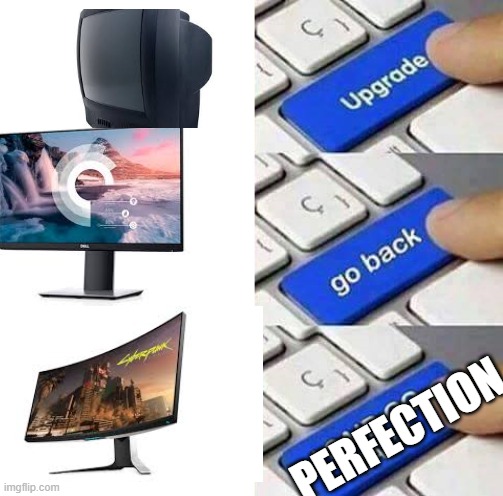 Go back to the curved ways | PERFECTION | image tagged in gaming,curved monitor | made w/ Imgflip meme maker