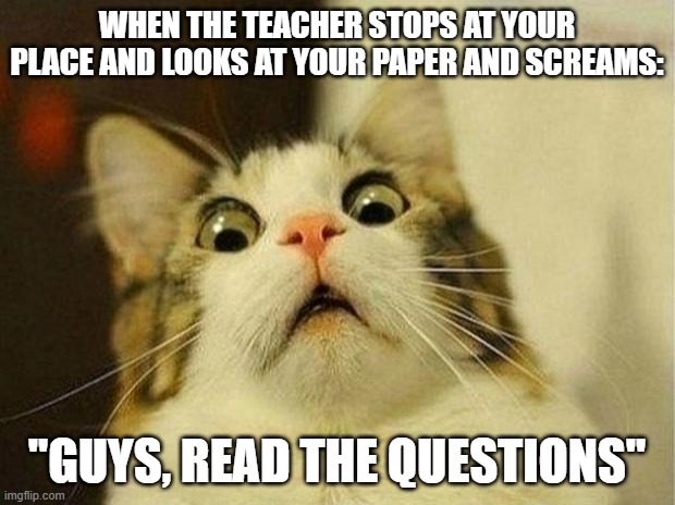 Scared Cat Meme | WHEN THE TEACHER STOPS AT YOUR PLACE AND LOOKS AT YOUR PAPER AND SCREAMS:; ''GUYS, READ THE QUESTIONS'' | image tagged in memes,scared cat | made w/ Imgflip meme maker