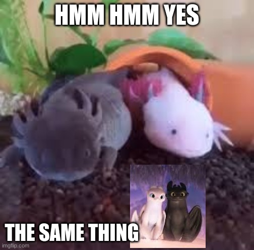 THE SAME THING!!!!!!!!!1 | HMM HMM YES; THE SAME THING | image tagged in memes | made w/ Imgflip meme maker