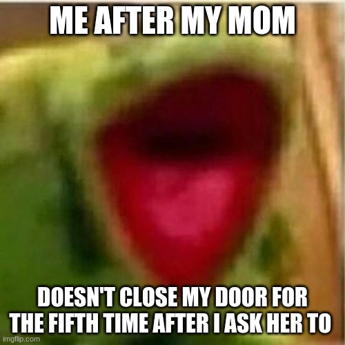 AHHHHHHHHHHHHH | ME AFTER MY MOM; DOESN'T CLOSE MY DOOR FOR THE FIFTH TIME AFTER I ASK HER TO | image tagged in ahhhhhhhhhhhhh | made w/ Imgflip meme maker