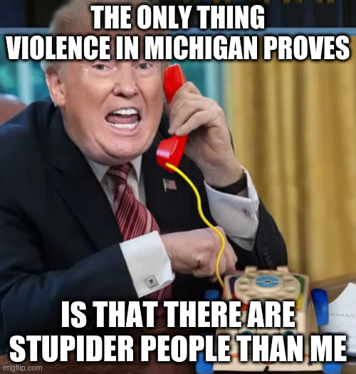 I'm the president | THE ONLY THING VIOLENCE IN MICHIGAN PROVES; IS THAT THERE ARE STUPIDER PEOPLE THAN ME | image tagged in i'm the president | made w/ Imgflip meme maker
