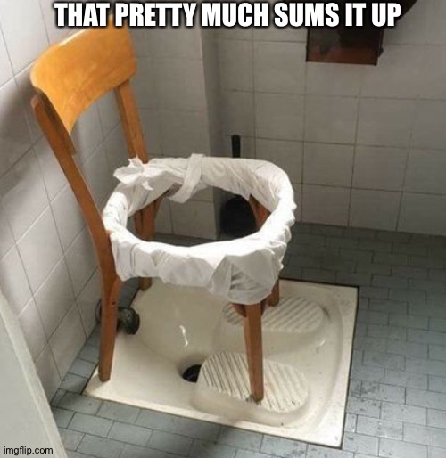 If 2020 is a toilet | THAT PRETTY MUCH SUMS IT UP | image tagged in sums it up | made w/ Imgflip meme maker