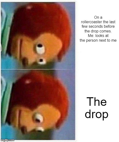Rollercoaster drop | On a rollercoaster the last few seconds before the drop comes. Me: looks at the person next to me; The drop | image tagged in memes,monkey puppet,rollercoaster,funny,scary,scared | made w/ Imgflip meme maker