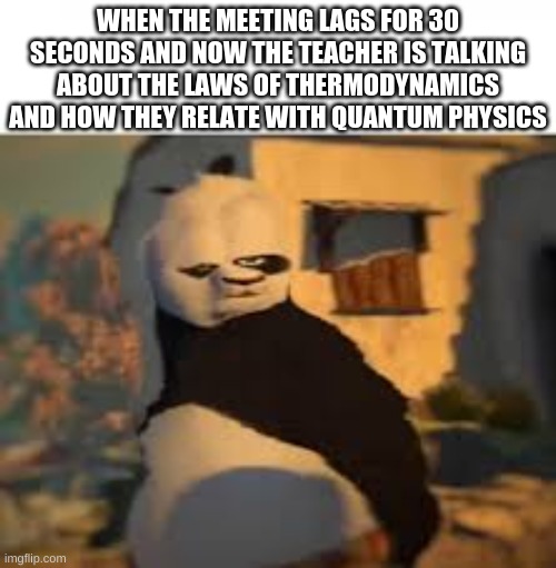 whoa whoa whoa | WHEN THE MEETING LAGS FOR 30 SECONDS AND NOW THE TEACHER IS TALKING ABOUT THE LAWS OF THERMODYNAMICS AND HOW THEY RELATE WITH QUANTUM PHYSICS | image tagged in wth happened,kung fu panda | made w/ Imgflip meme maker