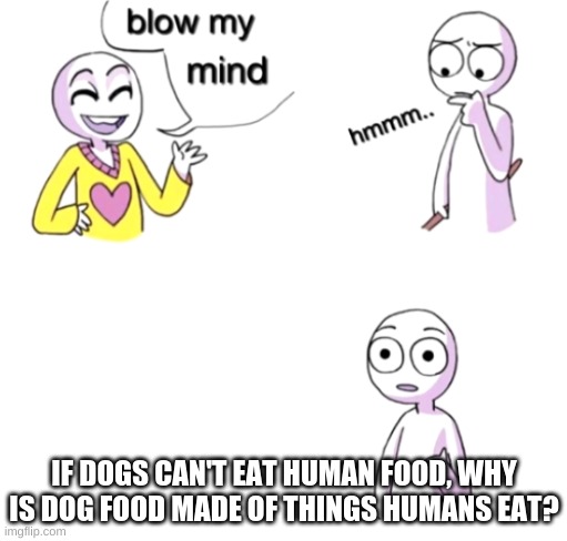 I wonder this every day | IF DOGS CAN'T EAT HUMAN FOOD, WHY IS DOG FOOD MADE OF THINGS HUMANS EAT? | image tagged in blow my mind | made w/ Imgflip meme maker