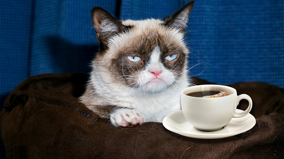 High Quality Grumpy Cat Coffee Cup Blank Meme Template