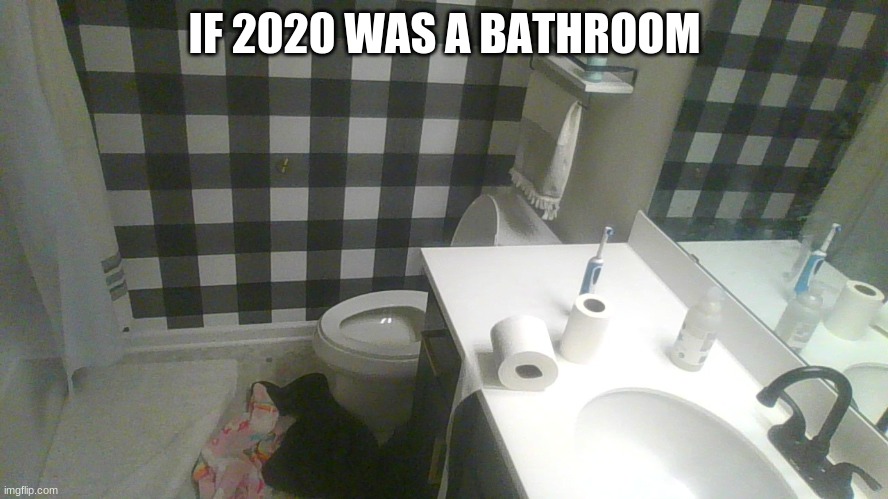 yep...that sums it up. | IF 2020 WAS A BATHROOM | image tagged in 2020 sucks,bathroom | made w/ Imgflip meme maker