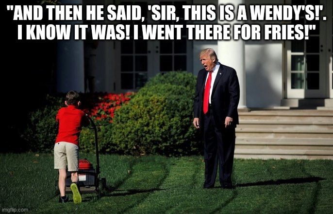 Trump Yelling At Lawnmower Kid | "AND THEN HE SAID, 'SIR, THIS IS A WENDY'S!'.
I KNOW IT WAS! I WENT THERE FOR FRIES!" | image tagged in trump lawn mower | made w/ Imgflip meme maker