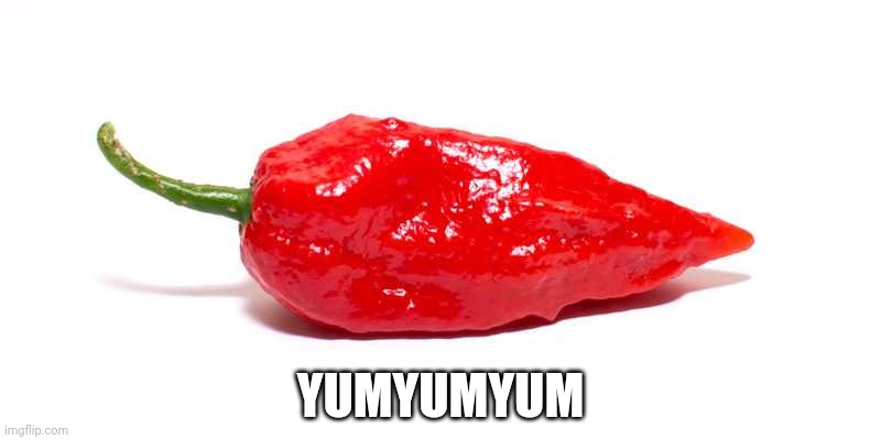 Ghost Pepper | YUMYUMYUM | image tagged in ghost pepper | made w/ Imgflip meme maker