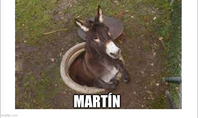 MARTÍN | image tagged in tags | made w/ Imgflip meme maker