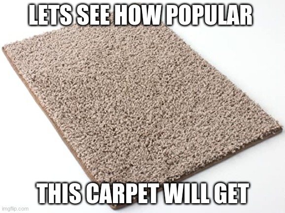 lets see how popular this carpet will get | LETS SEE HOW POPULAR; THIS CARPET WILL GET | image tagged in funny,memes,carpet,popular | made w/ Imgflip meme maker
