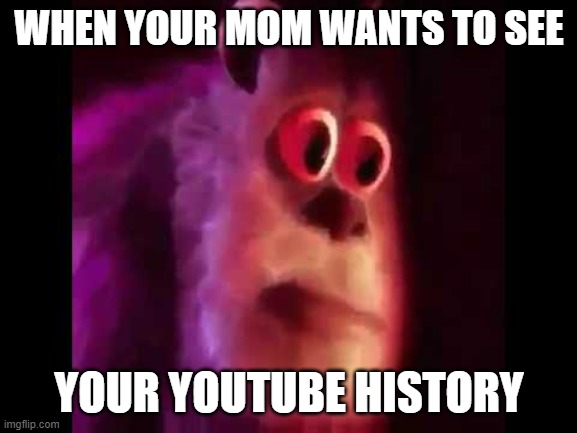 Sully Groan | WHEN YOUR MOM WANTS TO SEE; YOUR YOUTUBE HISTORY | image tagged in sully groan | made w/ Imgflip meme maker