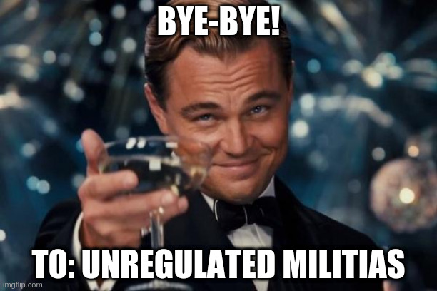 Leonardo Dicaprio Cheers | BYE-BYE! TO: UNREGULATED MILITIAS | image tagged in memes,leonardo dicaprio cheers,rumpt | made w/ Imgflip meme maker