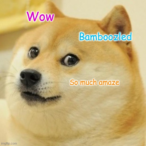 Doge Meme |  Wow; Bamboozled; So much amaze | image tagged in memes,doge | made w/ Imgflip meme maker