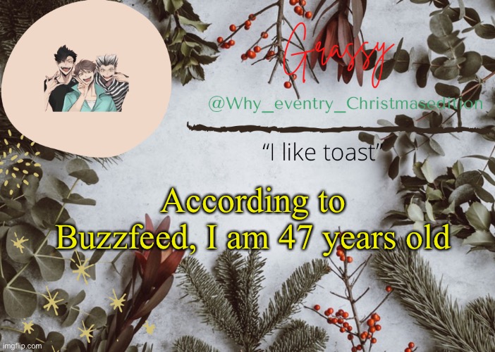 E | According to Buzzfeed, I am 47 years old | image tagged in why_eventry christmas template | made w/ Imgflip meme maker