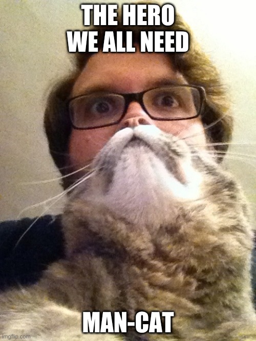 Surprised CatMan Meme | THE HERO WE ALL NEED; MAN-CAT | image tagged in memes,surprised catman | made w/ Imgflip meme maker