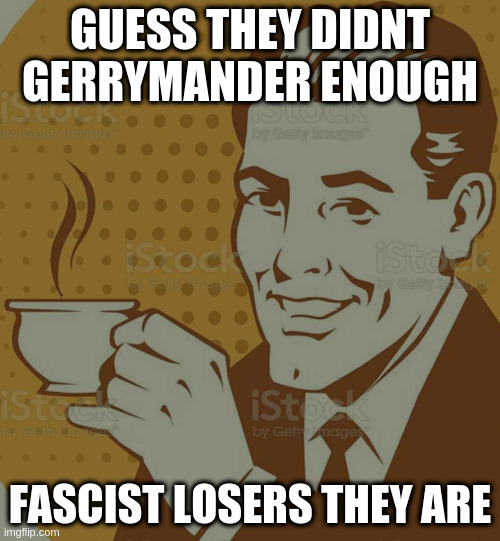 conservatives cheat, its in their nature | GUESS THEY DIDNT GERRYMANDER ENOUGH FASCIST LOSERS THEY ARE | image tagged in mug approval | made w/ Imgflip meme maker