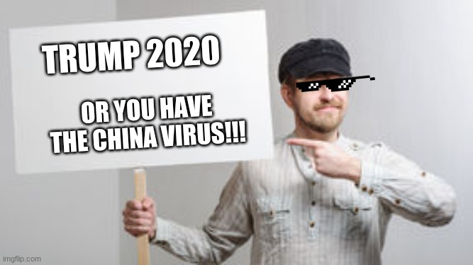 hello dont hate | TRUMP 2020; OR YOU HAVE THE CHINA VIRUS!!! | image tagged in protest sign meme | made w/ Imgflip meme maker