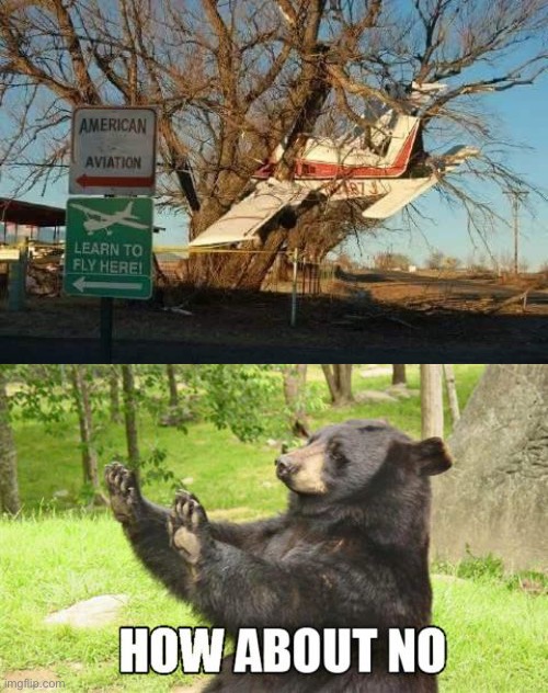 What the heck happened here | image tagged in memes,how about no bear,funny,fails,airplane wrong week,stupid signs | made w/ Imgflip meme maker