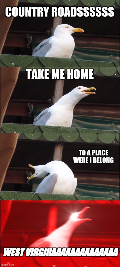 Inhaling Seagull Meme |  COUNTRY ROADSSSSSS; TAKE ME HOME; TO A PLACE WERE I BELONG; WEST VIRGINAAAAAAAAAAAAAA | image tagged in memes,inhaling seagull | made w/ Imgflip meme maker