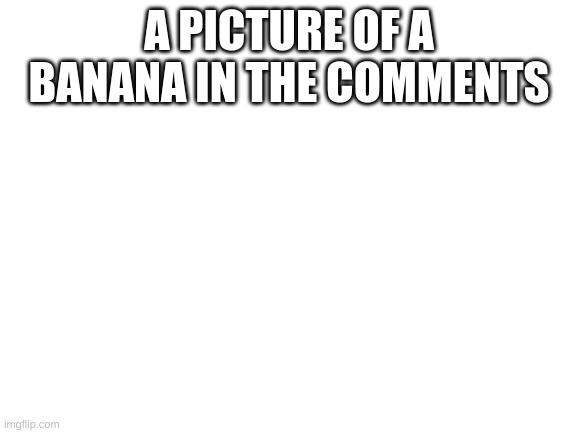 Blank White Template | A PICTURE OF A BANANA IN THE COMMENTS | image tagged in blank white template | made w/ Imgflip meme maker