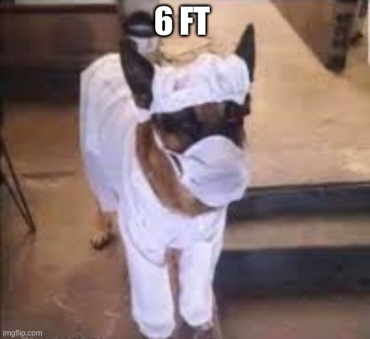 6 FT | made w/ Imgflip meme maker