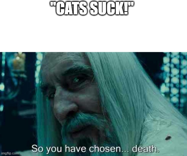 ... | "CATS SUCK!" | image tagged in so you have chosen death | made w/ Imgflip meme maker