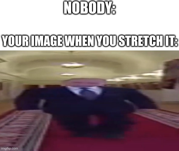Xd | NOBODY:; YOUR IMAGE WHEN YOU STRETCH IT: | image tagged in wide putin,memes,funny,image,lol,the return of the king | made w/ Imgflip meme maker