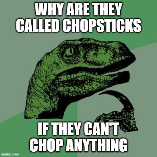 Why are they chopsticks | WHY ARE THEY CALLED CHOPSTICKS; IF THEY CAN'T CHOP ANYTHING | image tagged in memes,philosoraptor | made w/ Imgflip meme maker