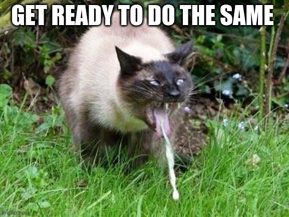 Cat Barfing | GET READY TO DO THE SAME | image tagged in cat barfing | made w/ Imgflip meme maker