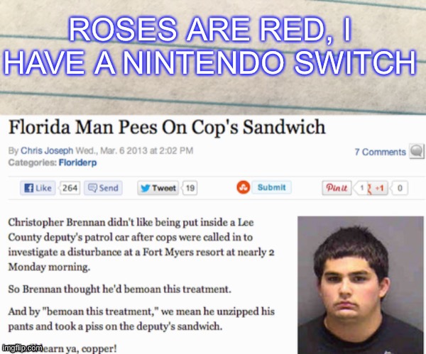 Now that is a Florida man! | image tagged in sandwich,roses are red,florida man,cop,nintendo switch | made w/ Imgflip meme maker