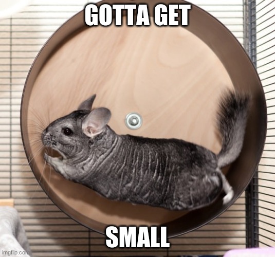 GOTTA GET SMALL | GOTTA GET; SMALL | image tagged in workout | made w/ Imgflip meme maker