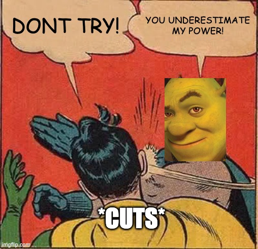 YOU LOOK | DONT TRY! YOU UNDERESTIMATE MY POWER! *CUTS* | image tagged in memes,batman slapping robin | made w/ Imgflip meme maker