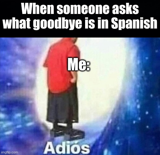 Adios | When someone asks what goodbye is in Spanish; Me: | image tagged in adios | made w/ Imgflip meme maker
