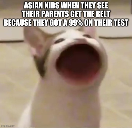 Pop Cat | ASIAN KIDS WHEN THEY SEE THEIR PARENTS GET THE BELT BECAUSE THEY GOT A 99% ON THEIR TEST | image tagged in pop cat | made w/ Imgflip meme maker