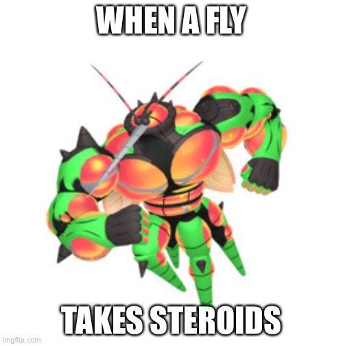Buzzwole meme | WHEN A FLY; TAKES STEROIDS | image tagged in memes | made w/ Imgflip meme maker