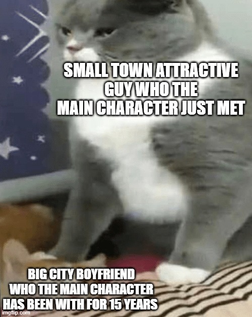 Every Christmas hallmark movie ever | SMALL TOWN ATTRACTIVE GUY WHO THE MAIN CHARACTER JUST MET; BIG CITY BOYFRIEND WHO THE MAIN CHARACTER HAS BEEN WITH FOR 15 YEARS | image tagged in cat crushing cat,memes,funny,christmas,movies | made w/ Imgflip meme maker